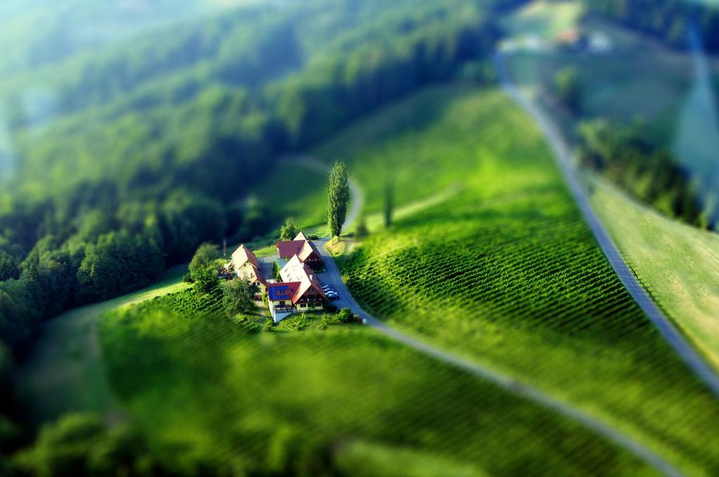 Weingut Winzerzimmer Rothschaedl Leutschach Bagian luar foto