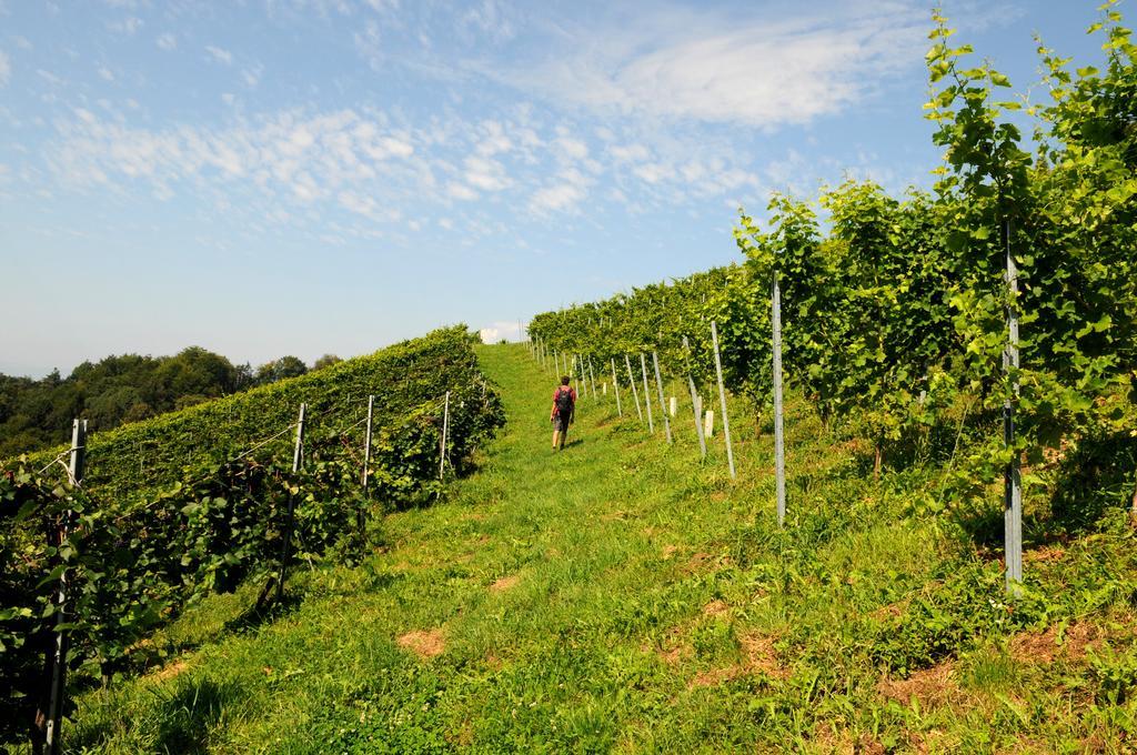 Weingut Winzerzimmer Rothschaedl Leutschach Bagian luar foto