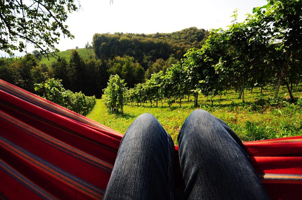 Weingut Winzerzimmer Rothschaedl Leutschach Bagian luar foto