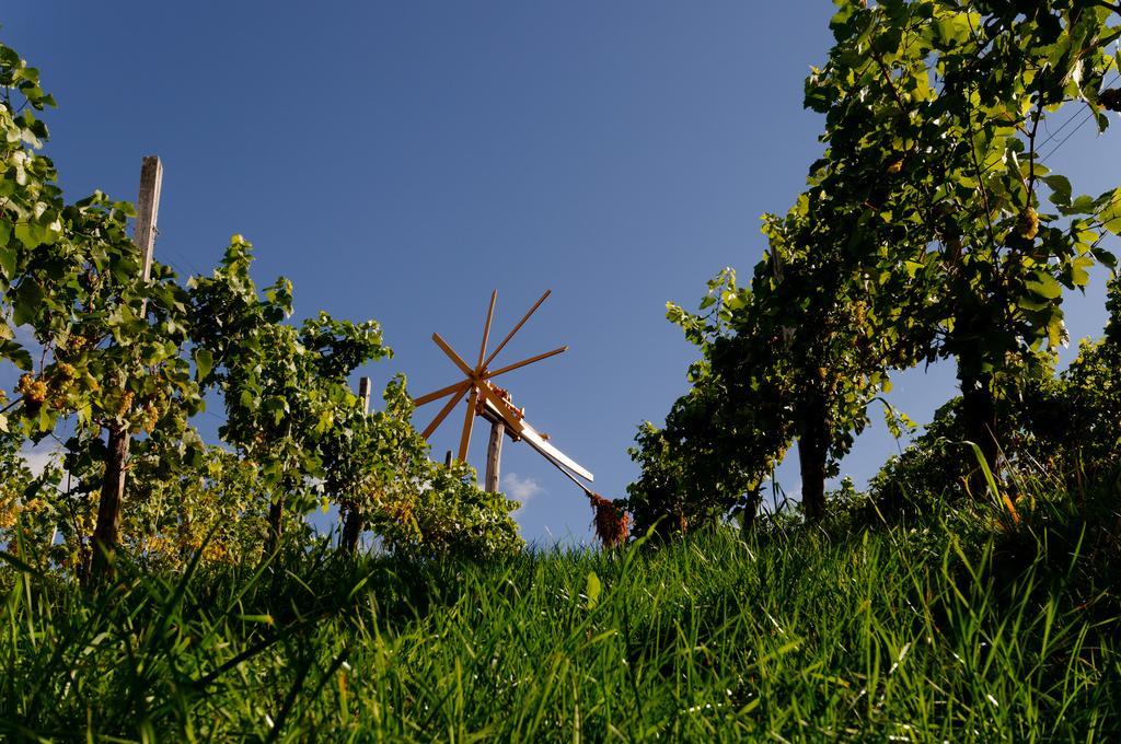 Weingut Winzerzimmer Rothschaedl Leutschach Bagian luar foto