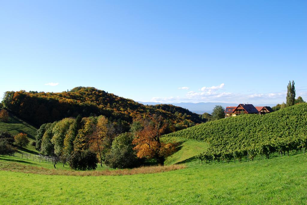 Weingut Winzerzimmer Rothschaedl Leutschach Bagian luar foto